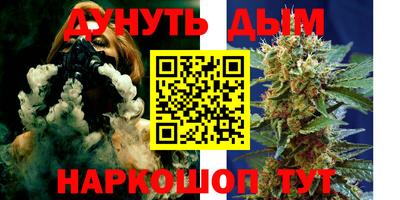 сатива Ирбит
