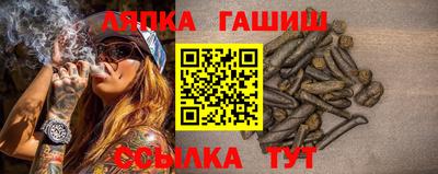 сатива Ирбит