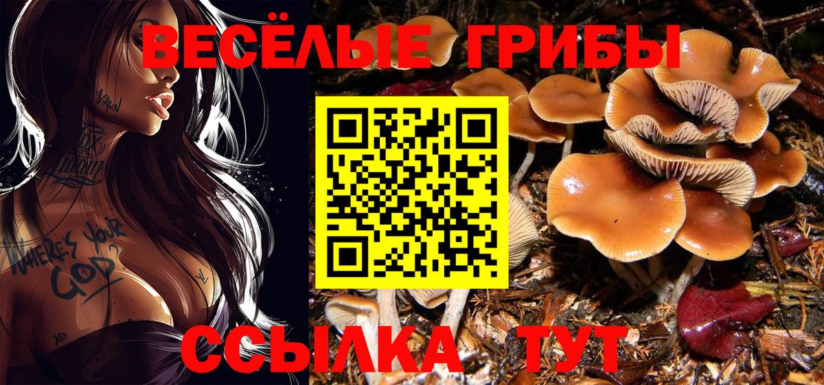 Галлюциногенные грибы MAGIC MUSHROOMS  Псилоцибиновые грибы ЛСД  Вход с VPN  Лабытнанги 